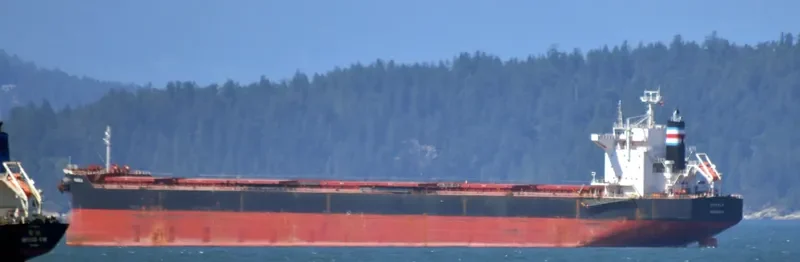 KAVALA Bulk Carrier IMO 9391971 photo 6