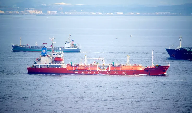 EPIC COBRADOR General Cargo IMO 9392030 photo 3