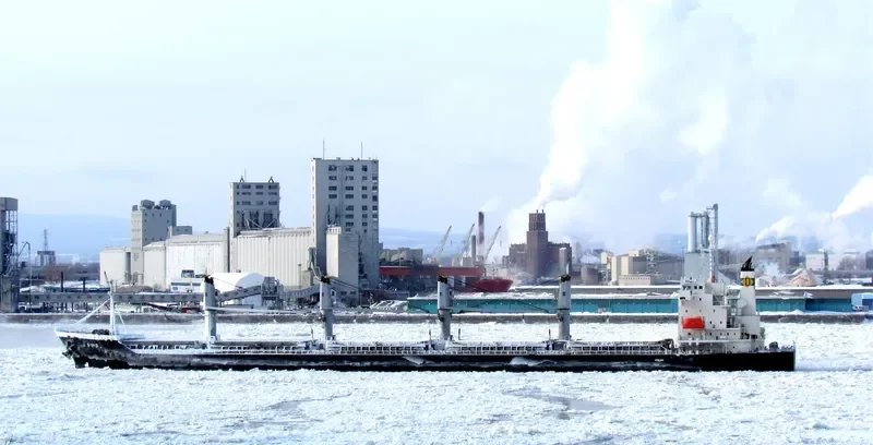 DINO Bulk Carrier IMO 9392078