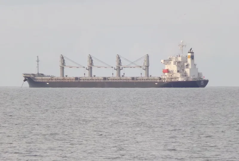DINO Bulk Carrier IMO 9392078 photo 3