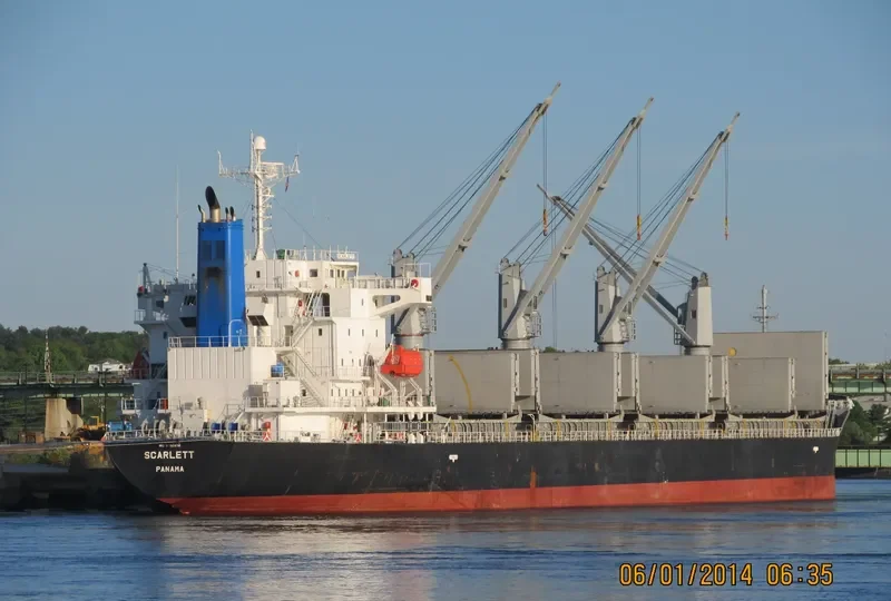 DINO Bulk Carrier IMO 9392078 photo 6