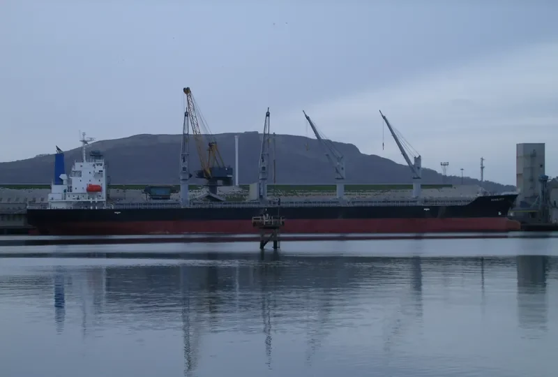 DINO Bulk Carrier IMO 9392078 photo 7