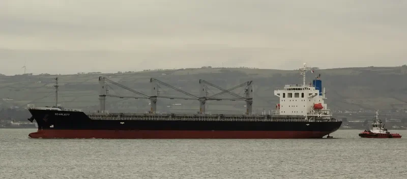 DINO Bulk Carrier IMO 9392078 photo 8