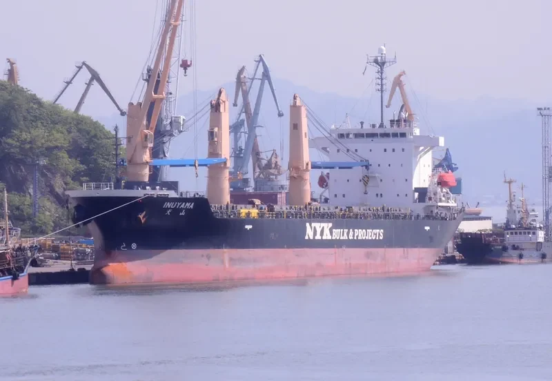 INUYAMA Ro-Ro IMO 9392080 photo 2