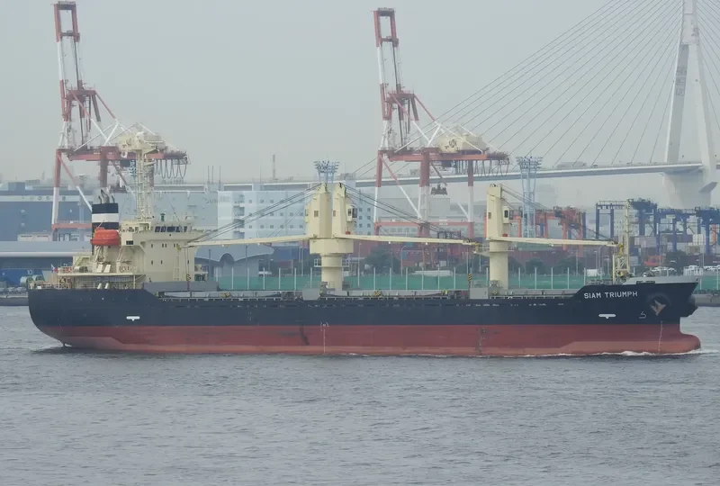 ADAROSE Bulk Carrier IMO 9392107