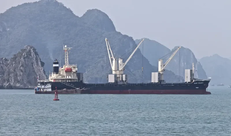 ADAROSE Bulk Carrier IMO 9392107 photo 4