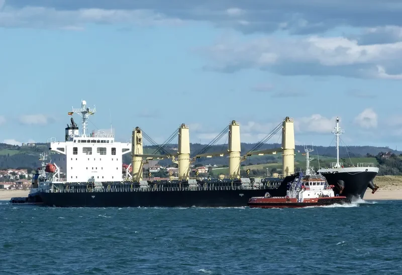 MELOI Bulk Carrier IMO 9392119 photo 2