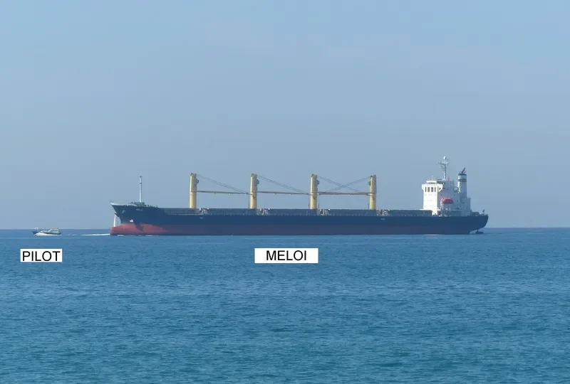 MELOI Bulk Carrier IMO 9392119 photo 7