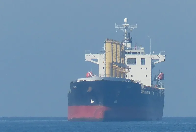 MELOI Bulk Carrier IMO 9392119 photo 8