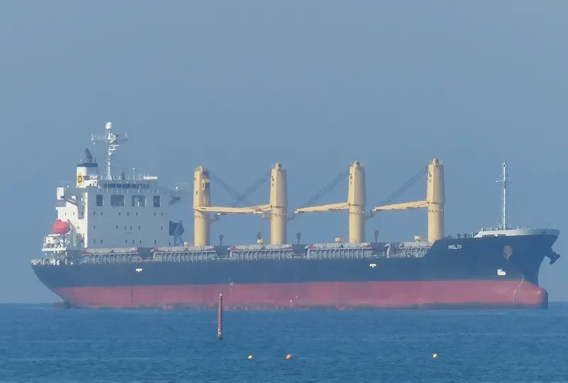MELOI Bulk Carrier IMO 9392119 photo 9