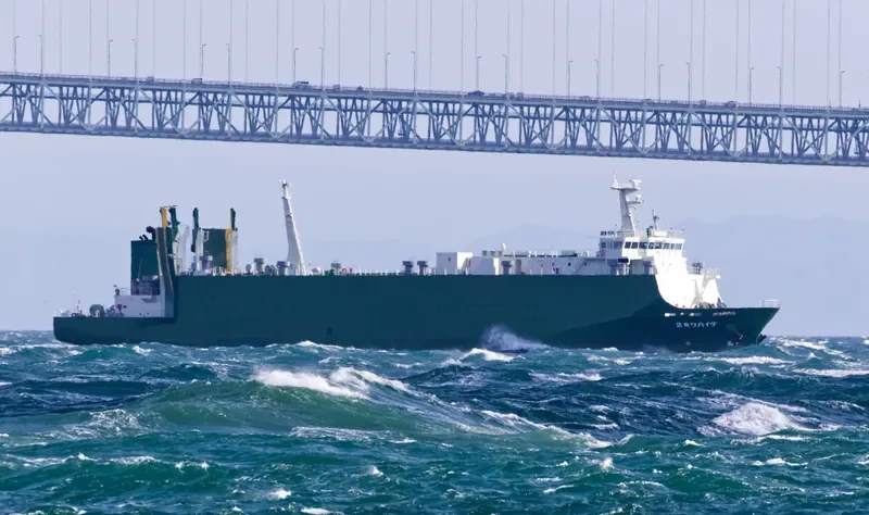 DAIHATSU MARU 2 General Cargo IMO 9392121 photo 6