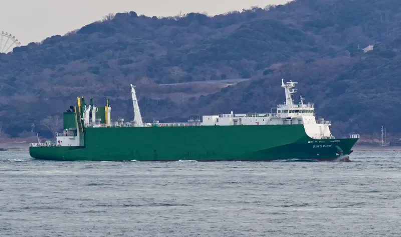 DAIHATSU MARU 2 General Cargo IMO 9392121 photo 7