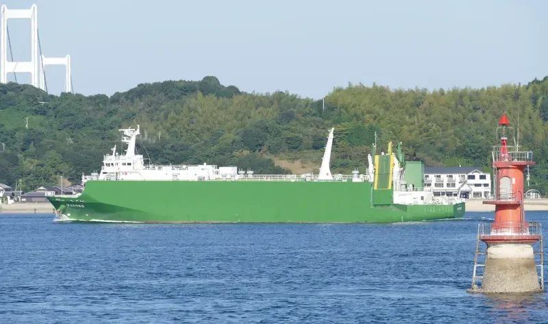 DAIHATSU MARU 2 General Cargo IMO 9392121 photo 8