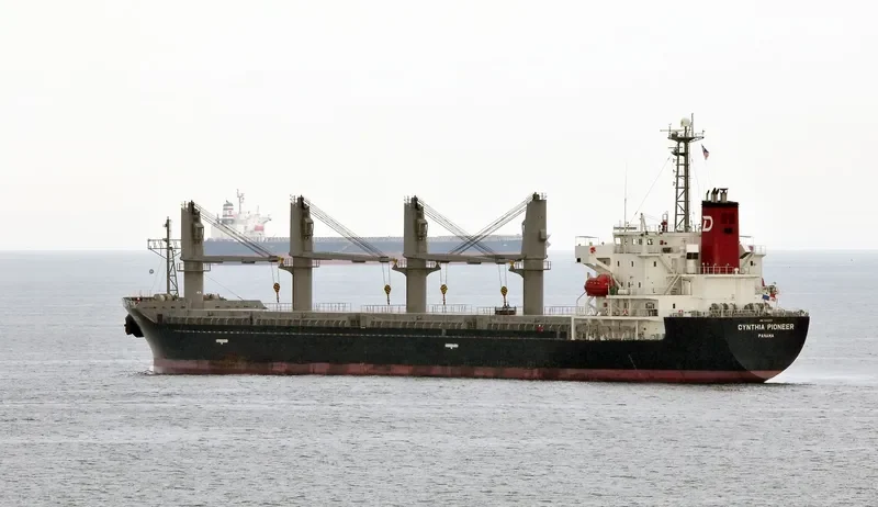 AURELIA Bulk Carrier IMO 9392133