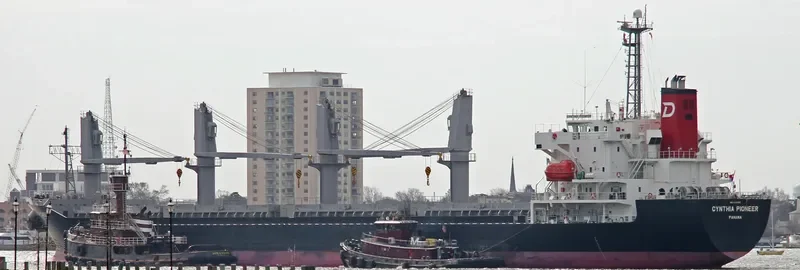 AURELIA Bulk Carrier IMO 9392133 photo 7