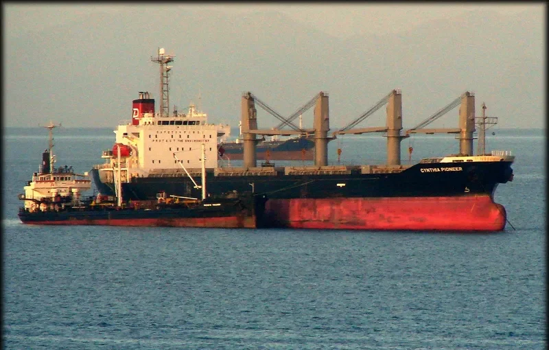 AURELIA Bulk Carrier IMO 9392133 photo 9