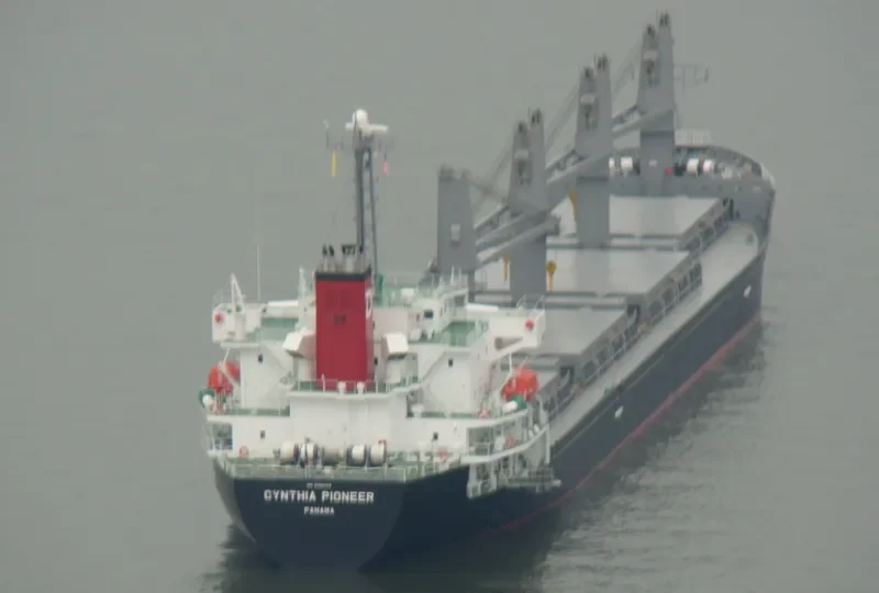 AURELIA Bulk Carrier IMO 9392133 photo 10