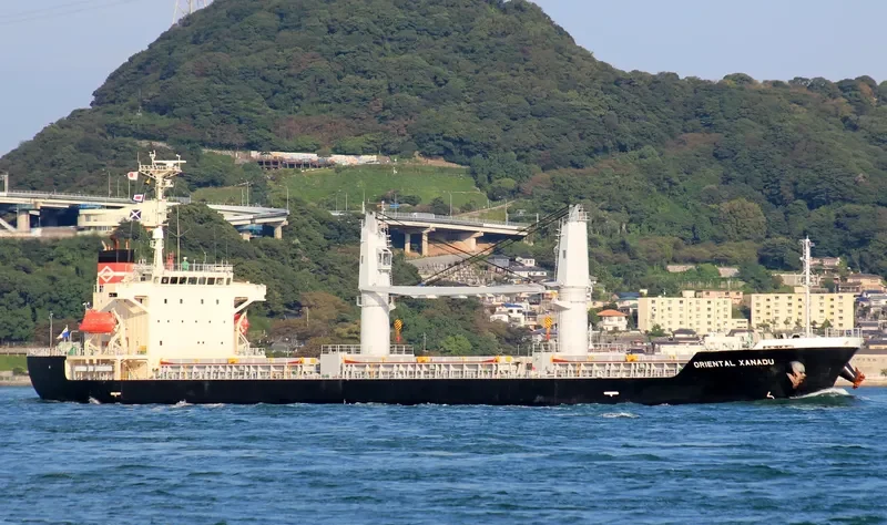 ASIAN EXPLORER Bulk Carrier IMO 9392145 photo 9