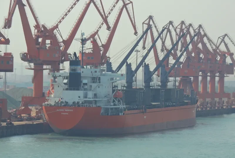 GLOBAL MERMAID Bulk Carrier IMO 9392157 photo 5