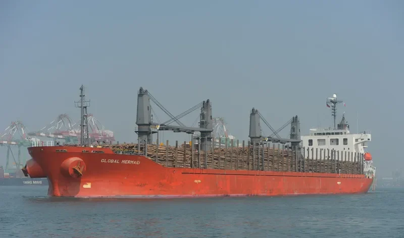 GLOBAL MERMAID Bulk Carrier IMO 9392157 photo 8
