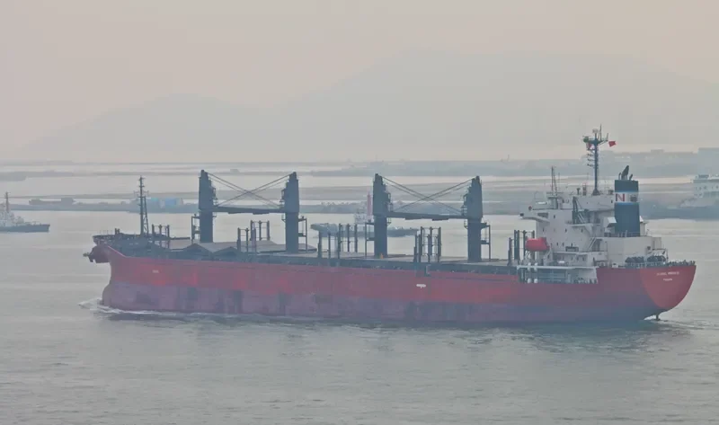 GLOBAL MERMAID Bulk Carrier IMO 9392157 photo 9