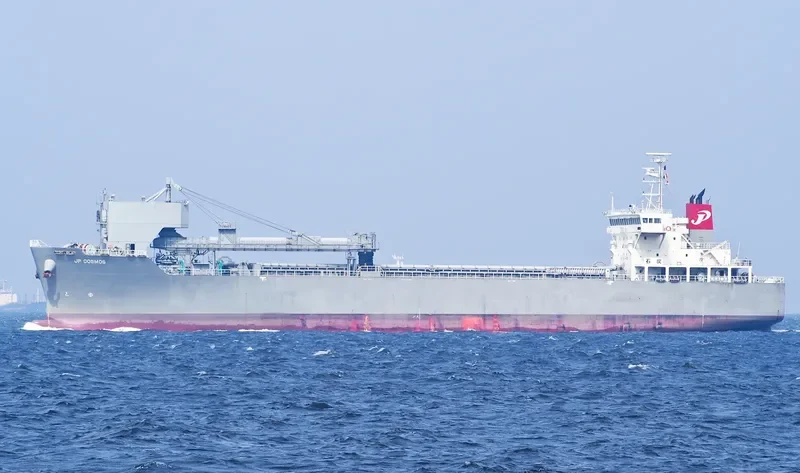 JP COSMOS Bulk Carrier IMO 9392248 photo 3