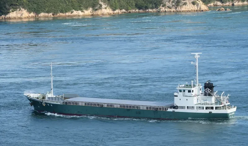 TAIYO MARU NO.8 General Cargo IMO 9392262 photo 7