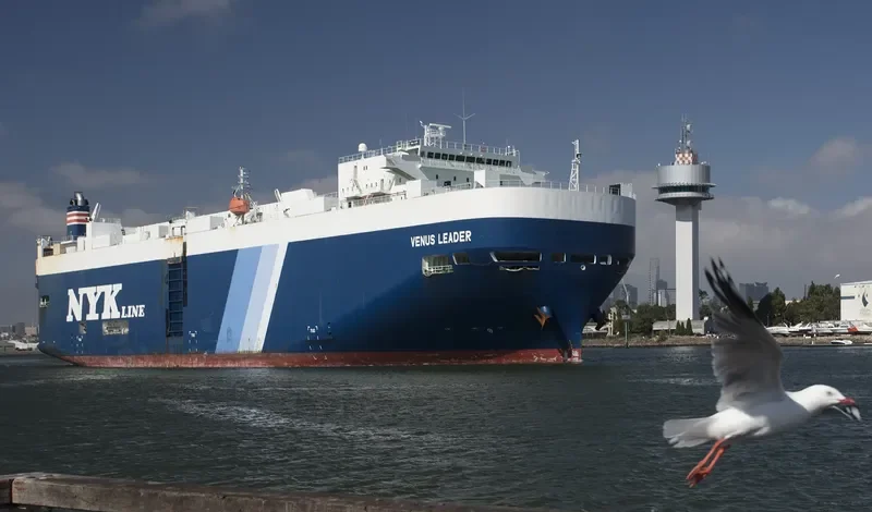 VENUS LEADER General Cargo IMO 9392341 photo 3