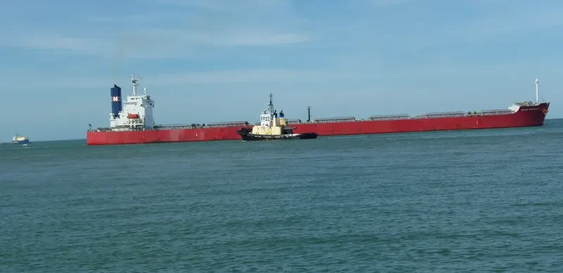 NAVIOS PROSPERITY Bulk Carrier IMO 9392420 photo 3
