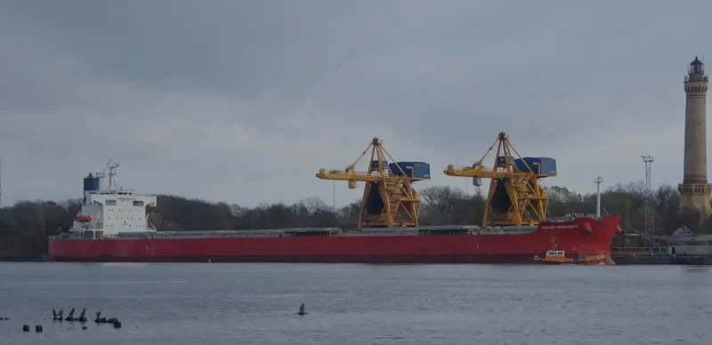 NAVIOS PROSPERITY Bulk Carrier IMO 9392420 photo 6