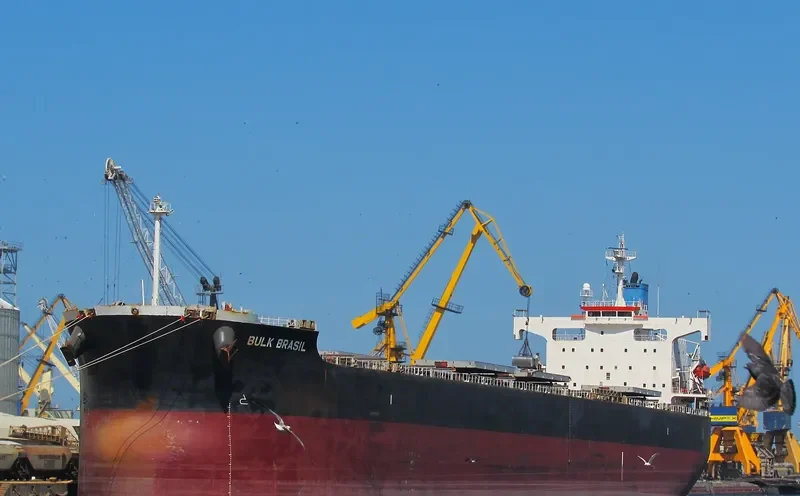 SEADUTY Bulk Carrier IMO 9392432