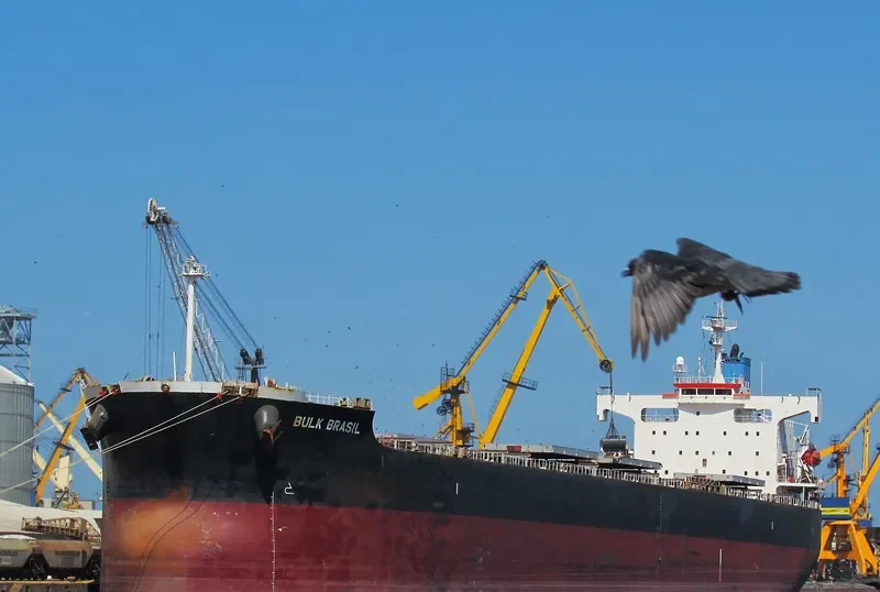 SEADUTY Bulk Carrier IMO 9392432 photo 2