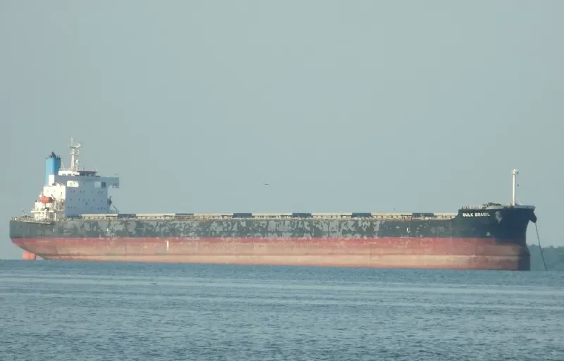 SEADUTY Bulk Carrier IMO 9392432 photo 9