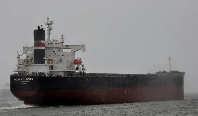 OCEANIC Bulk Carrier IMO 9392444 photo 2