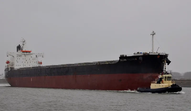 OCEANIC Bulk Carrier IMO 9392444 photo 3