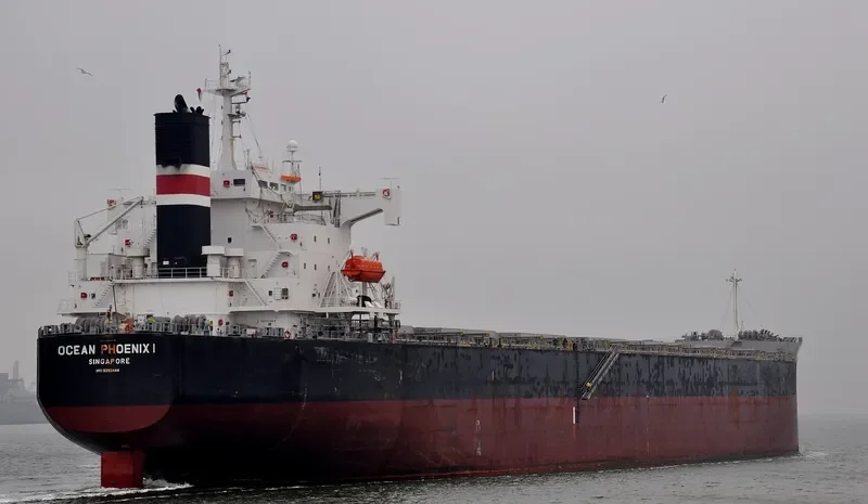 OCEANIC Bulk Carrier IMO 9392444 photo 4