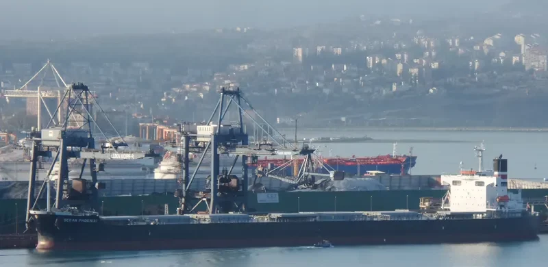 OCEANIC Bulk Carrier IMO 9392444 photo 7