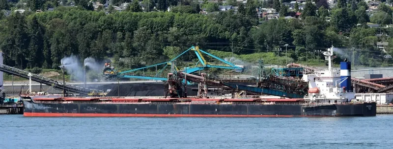 SEAJOURNEY Bulk Carrier IMO 9392456