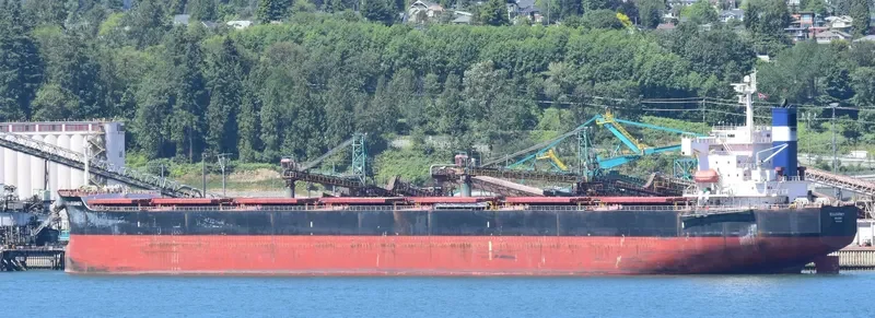 SEAJOURNEY Bulk Carrier IMO 9392456 photo 2