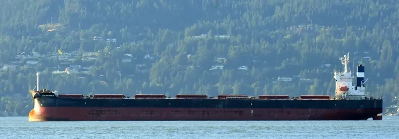 SEAJOURNEY Bulk Carrier IMO 9392456 photo 3
