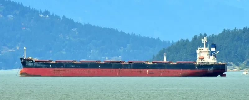 SEAJOURNEY Bulk Carrier IMO 9392456 photo 4