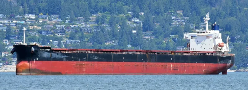 SEAJOURNEY Bulk Carrier IMO 9392456 photo 5