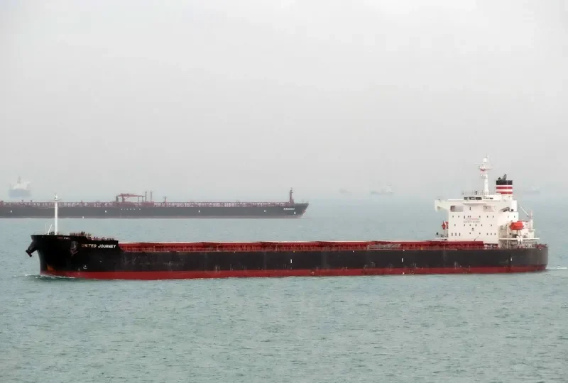 SEAJOURNEY Bulk Carrier IMO 9392456 photo 6