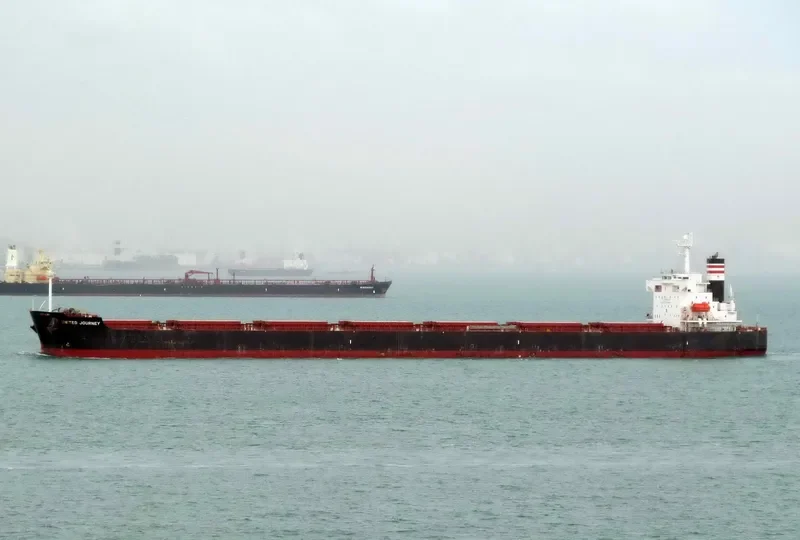 SEAJOURNEY Bulk Carrier IMO 9392456 photo 7