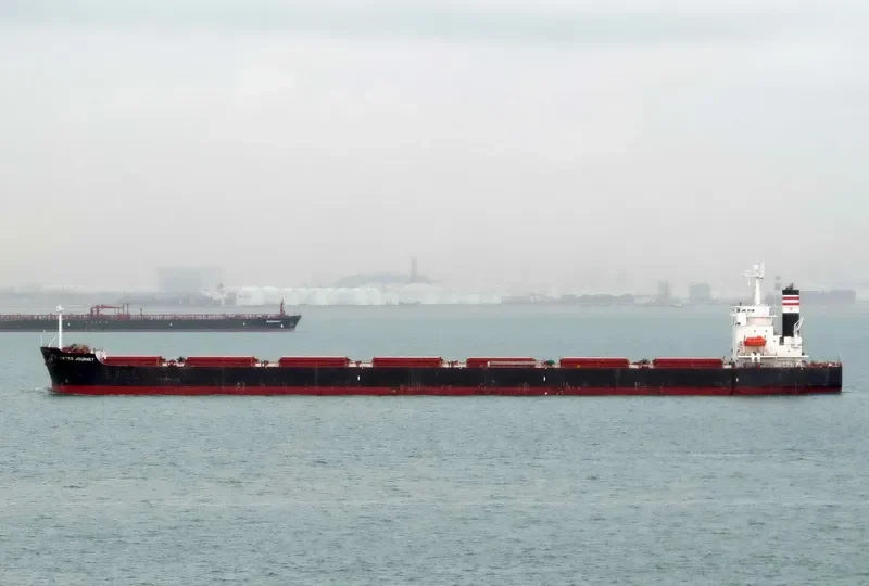 SEAJOURNEY Bulk Carrier IMO 9392456 photo 8