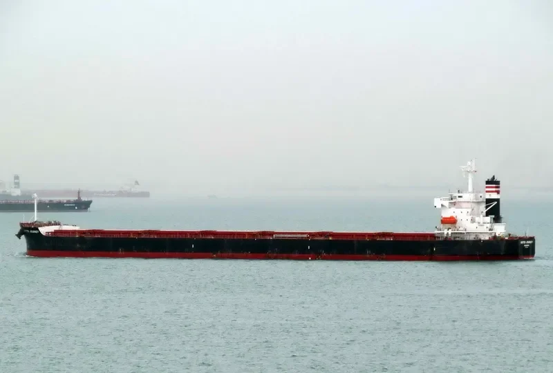 SEAJOURNEY Bulk Carrier IMO 9392456 photo 9