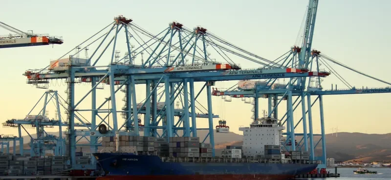 MSC SHANVI Container Ship IMO 9392561