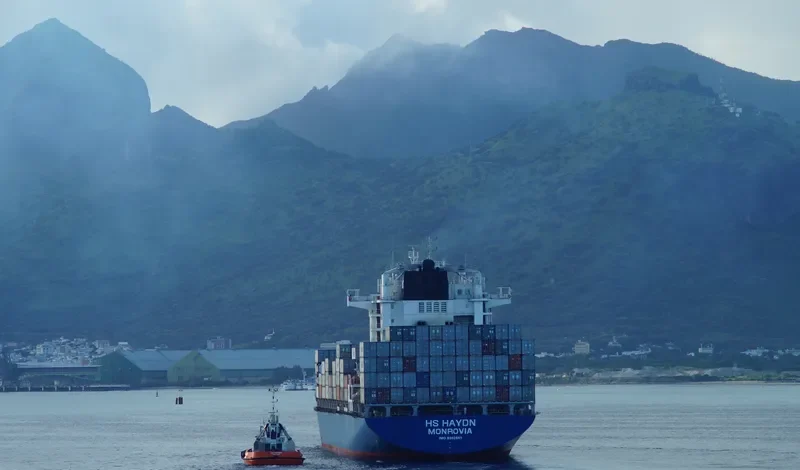 MSC SHANVI Container Ship IMO 9392561 photo 2
