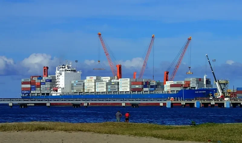 MSC SHANVI Container Ship IMO 9392561 photo 7