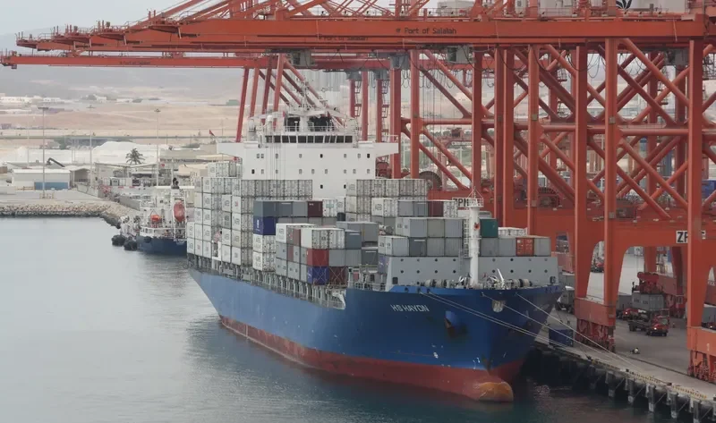 MSC SHANVI Container Ship IMO 9392561 photo 8